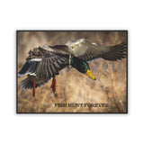 FHF - Drake Mallard Landing - Pet Mat (18" x 24")