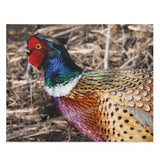 ROOSTER - Puzzle (120, 252, 500-Piece)