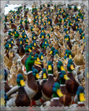 Mallards Framed Poster, Multi-Color