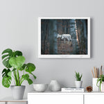 Timber Ghost - Canvas Gallery Wrap