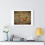 Chicken Dance - Canvas Gallery Wraps